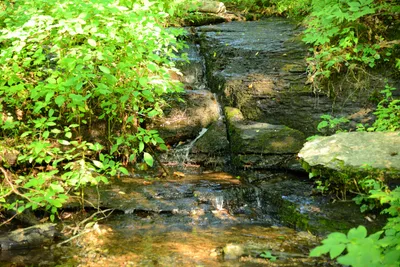 DSC_2812 (Large).JPG